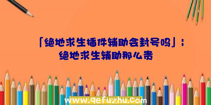 「绝地求生插件辅助会封号吗」|绝地求生辅助那么贵